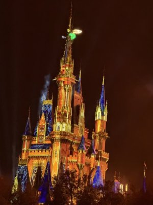 IMG_1231.jpeg