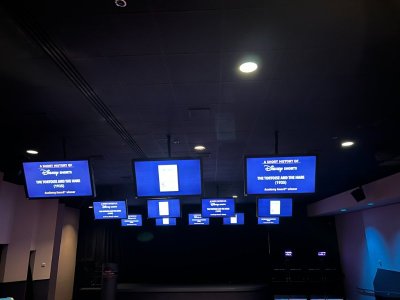IMG_6574.JPEG