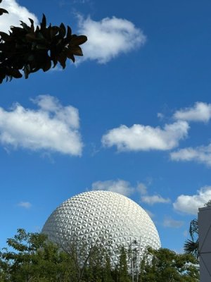 IMG_6579.JPEG