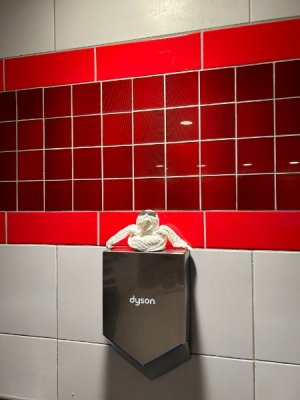 IMG_6581.JPEG