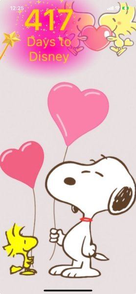 SW HEART BALLOONS.jpeg