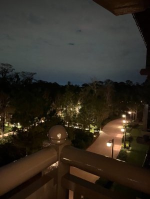 IMG_7406.jpeg