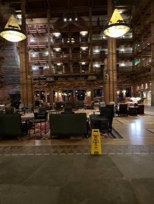 IMG_7369.jpeg
