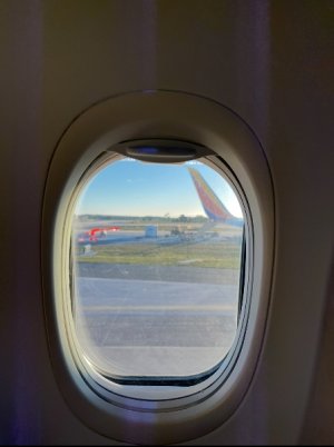 IMG_7385.jpeg
