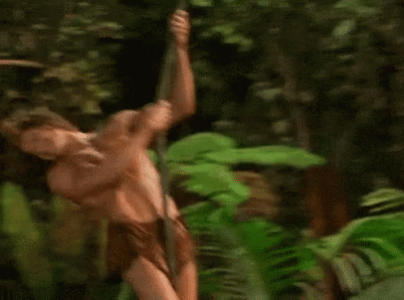 swinging-george-of-the-jungle-925tqgcf6jje7htp.gif