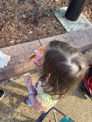 IMG_2268.jpeg