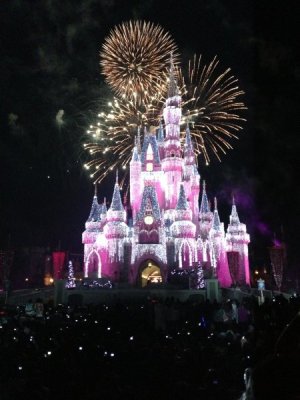 IMG_0616.jpeg