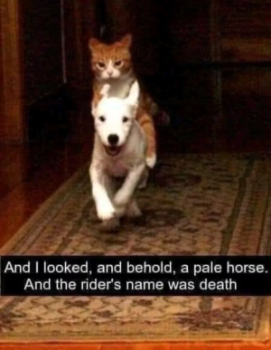 pale horse.png