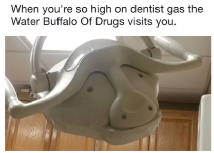 water buffalo.png