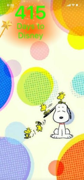 SNOOPY SLIDE.jpeg