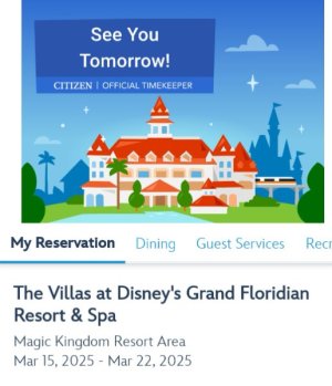 Screenshot_20250314_184112_Disney World.jpg
