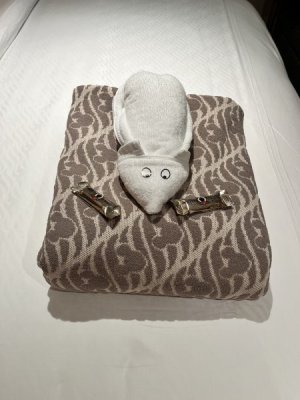 towel animal.jpeg