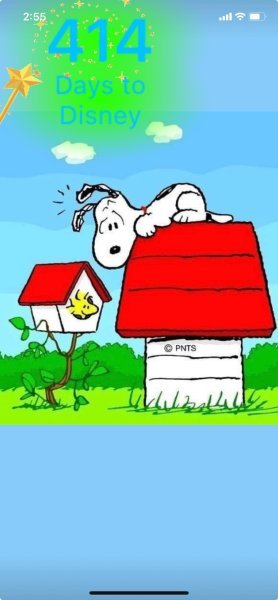 SW BIRD HOUSE.jpeg