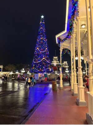 IMG_7577.jpeg