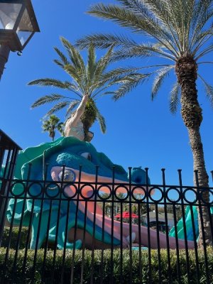 IMG_7555.jpeg