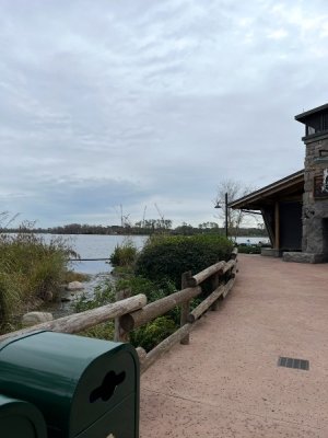 IMG_7595.jpeg