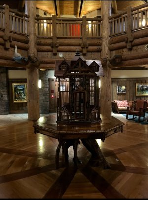 IMG_7564.jpeg