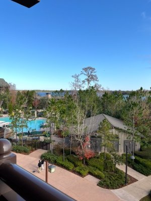 IMG_7579.jpeg