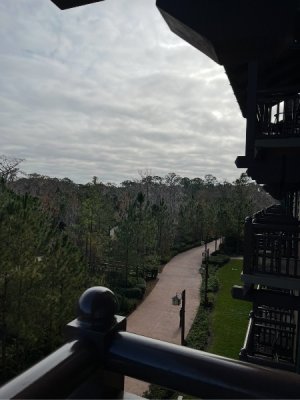 IMG_7581.jpeg