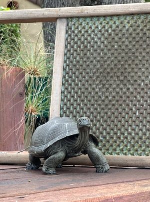 IMG_4601.jpeg