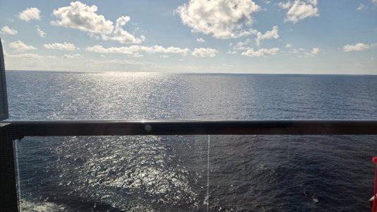 20250316_093005.jpg