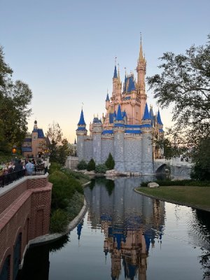 IMG_3144.jpeg