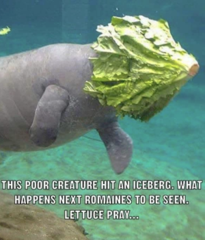 1742388684672.png