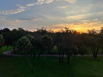IMG_3925.jpeg