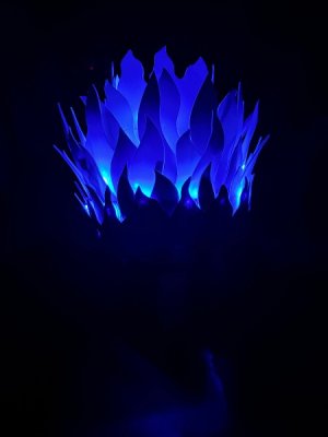 IMG_1002.jpeg