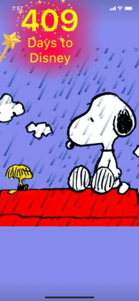 SW RAIN.png