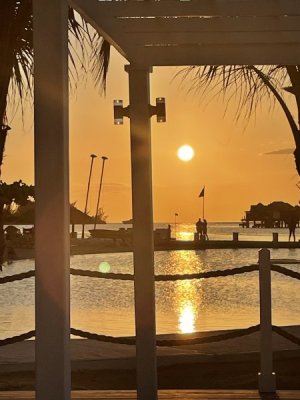 IMG_2588.jpeg