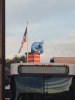IMG_4252.JPG