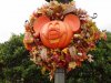orangeHalloween.jpg