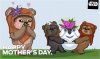 SW Mothers day.jpg