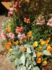 New France flowers.jpg