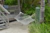 DSC_0213.JPG