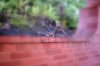DSC_0471TR.jpg