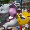 IMG_20150510_113541-1.jpg