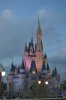 DSC_0474TR.jpg