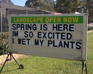 spring.jpg