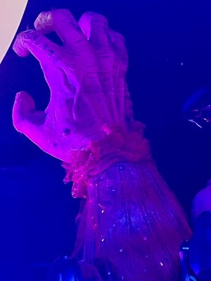IMG_3716.jpeg