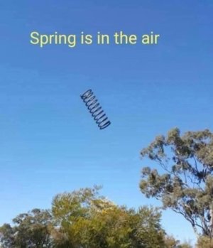 1742616578188.jpeg