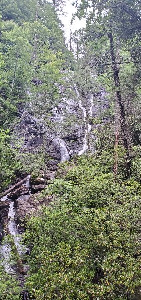 20220711_073928[1].jpg