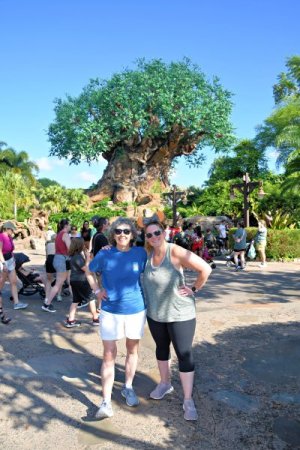 2024-10-04 - Disneys Animal Kingdom Park - The tree of life_10.jpeg