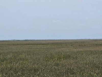 20240328_091504[1].jpg