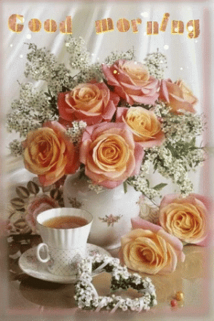 IMG_5229.gif
