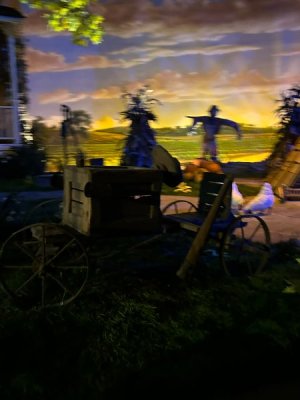 IMG_6469.JPEG