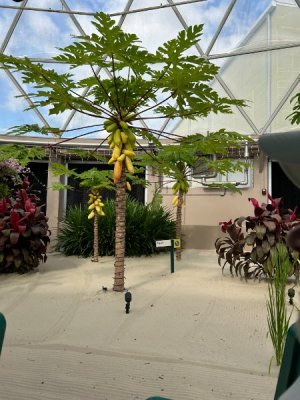 IMG_6629.JPEG