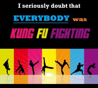 kung fu.jpg