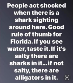 1742906560509.png